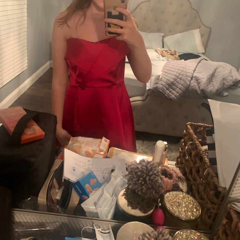Zara dress